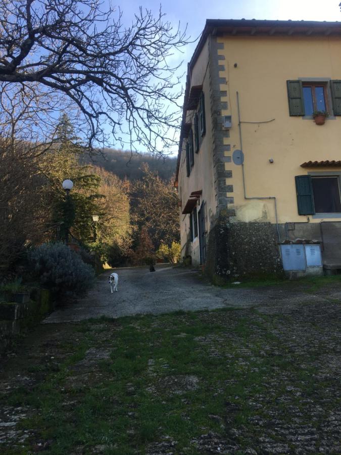 Welcome In Toscana Polcanto 外观 照片