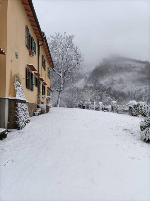Welcome In Toscana Polcanto 外观 照片
