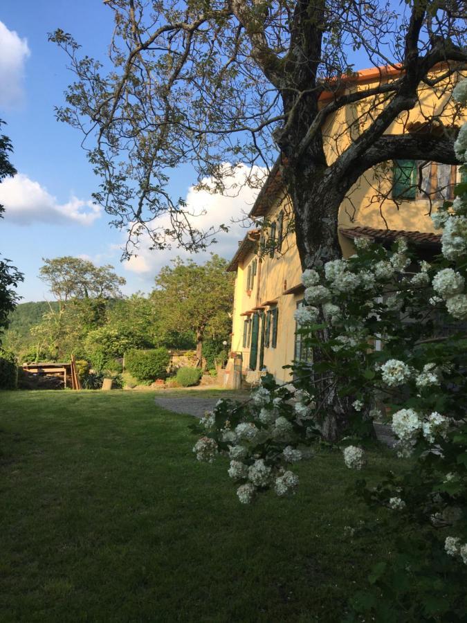 Welcome In Toscana Polcanto 外观 照片